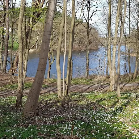 Niebieski Zakatek Holiday home Wiselka