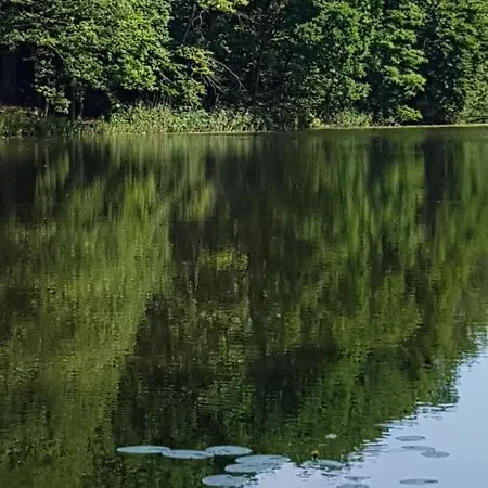 Niebieski Zakatek Holiday home *